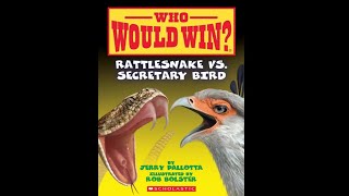 Who Would Win  Rattlesnake vs Secretary Bird by Jerry Palotta [upl. by Hesler]