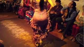 Flamenco Dance by Spanish Gypsies Part 1 [upl. by Cordi]