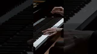 CHOPIN Ballade No 1 110 [upl. by Nagah2]