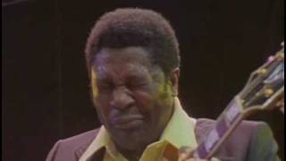 BB King  I Believe To My Soul  Live in Africa 1974 [upl. by Aissatsan]