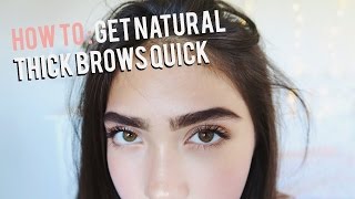 How To Grow Eyebrows FAST Thick amp Natural [upl. by Aelc190]