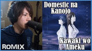 Kawaki wo ameku  Domestic na Kanojo OP ROMIX Cover [upl. by Mayhs]