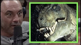 Joe Rogan  The Mysteries of the TREX [upl. by Otrebireh]