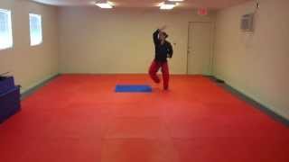 HwaRang Tae Kwon Do Form  Front View Slow [upl. by Asabi]