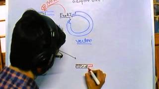 Difference between linker and adaptor DNA [upl. by Sessler]