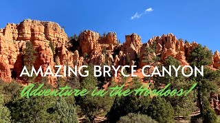 Bryce Canyon National Park [upl. by Sommers514]