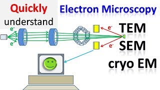 Electron microscope  TEM  SEM  Cryo EM [upl. by Avevoneg]