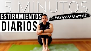 Rutina de ESTIRAMIENTOS para PRINCIPIANTES  5 Minutos al Día [upl. by Karb435]