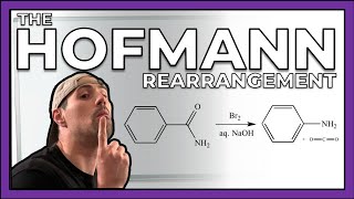 The Hofmann RearrangementRxn and Mechanism [upl. by Lletram]