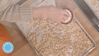 Roasted Pumpkin Seed Recipe  Martha Stewart [upl. by Czarra939]