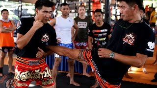 10 Muay Thai Techniques by Legends [upl. by Adnarim161]