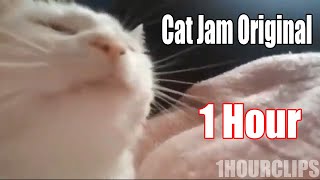 cat jam original 1 hour [upl. by Ennasirk]