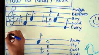 How to Read Music  Basics for Beginners  Music Theory Lesson [upl. by Brocklin]