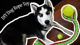 DIY Dog Rope Toy [upl. by Htebazle]