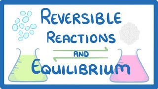 GCSE Chemistry  Reversible Reactions and Equilibrium [upl. by Shewchuk540]