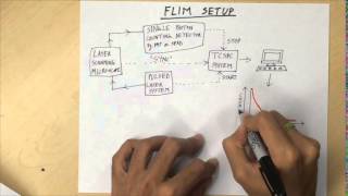 Fluorescence Lifetime Imaging Microscopy FLIM  Overview [upl. by Ugo985]