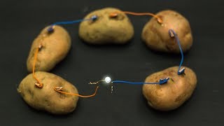 Science Experiments At Home  Potato Battery [upl. by Oigres]