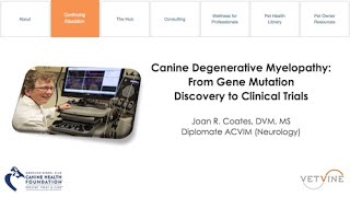 Canine Degenerative Myelopathy  Stages of Disease [upl. by Nahtanhoj]