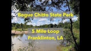 Bogue Chitto State Park  Trails in Louisiana Near [upl. by Akzseinga]