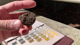 How to Use a Munsell Soil Chart [upl. by Yniatirb741]