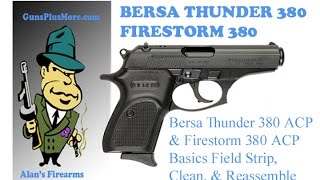 Bersa Thunder 380amp Bersa Firestorm 380 Basics field strip cleaning and reassemble [upl. by Bluh695]