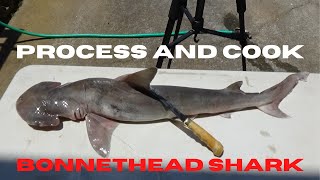 Process And Cook Bonnethead Shark  Shark Steaks On The Grill [upl. by Fridell]