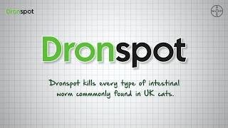 DRONSPOT® Spoton Wormer for Cats  How it Works Bayer [upl. by Nosiaj400]