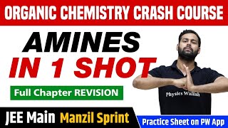 AMINES in One Shot  Full Chapter Revision  Class 12  JEE Main [upl. by Yedsnil]