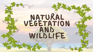 NATURAL VEGETATION AND WILDLIFE  CLASS 9  GEOGRAPHY  CHAPTER 5 [upl. by Riffle]