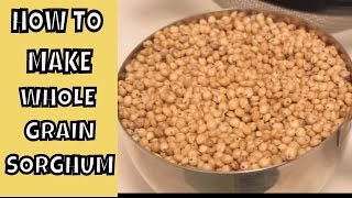 How to make Whole Grain Sorghum  Gluten Free  Sorghum Pilaf [upl. by Deehan]