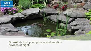 API POND ALGAEFIX  How to control algae in your pond [upl. by Hefter]