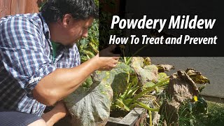 Powdery Mildew Prevention and Treatment 2019 [upl. by Lynda]