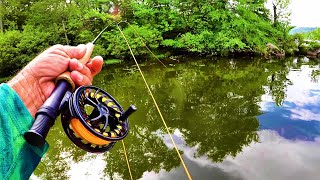 Fly Fishing For Bluegill [upl. by Robenia]