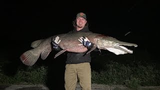 GIANT ALLIGATOR GAR Catch Clean Cook [upl. by Auohc634]