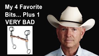 My 4 Favorite Curb Bits… Plus 1 That’s VERY BAD For Your Horse [upl. by Ennovaj]