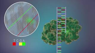 Sequencing at Speed [upl. by Mitzi]