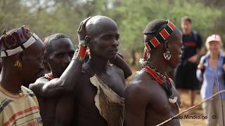 Bull Jumping Ritual  Hamar Tribe Ethiopia [upl. by Ettennyl]