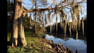 Bayou Teche Scenic Byway [upl. by Yehs]