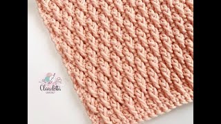 CROCHET ALPINE STITCH  BEGINNER [upl. by Nrublim379]