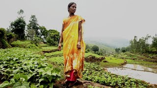 Zero Budget Natural Farming An Agricultural Revolution is Taking Shape in India [upl. by Blondy694]