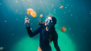 The Most Beautiful Free Diving in the World [upl. by Shewmaker]