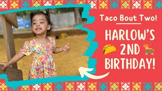 Harlow’s 2nd Birthday Fiesta 🪅 🌮 [upl. by Llerrom]