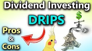 Dividend Investing Pros and Cons of DRIPS Dividend Reinvestment Plans [upl. by Eesyak651]