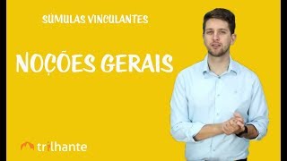 Súmulas Vinculantes  Noções Gerais [upl. by Lindblad]