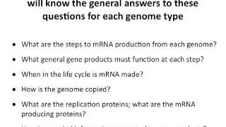 Genomes and genetics Lecture 3 [upl. by Aiclef]