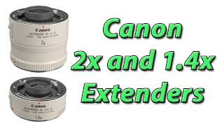 Canon 2x and 14x Extenders Photography Gear Review [upl. by Neelyam]