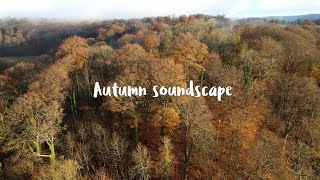 Autumn soundscape [upl. by Ag]