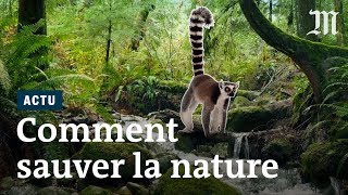 Quelles solutions resteil pour sauver la biodiversité [upl. by Greenlee]