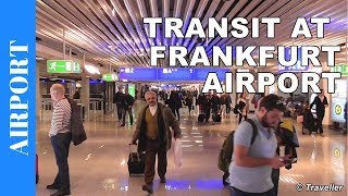 TRANSIT WALK AT FRANKFURT Airport FRA Terminal 1  Connection Flight Transfer Arriving amp Departing [upl. by Iren]