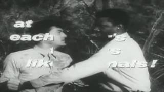 MP4 1080p The Defiant Ones Trailer 1958 Sidney Poitier Tony Curtis [upl. by Riker]